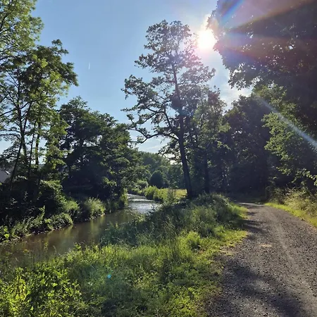 Waldoase Im Nationalpark Eifel Fuer 7 Gaeste Und Max 2 Hunde In 1a Lage *