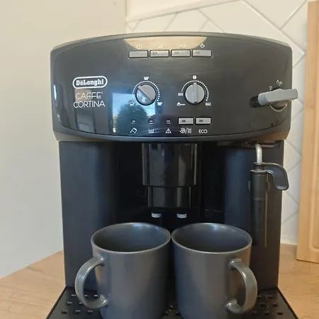 Waldoase Im Nationalpark Eifel Fuer 7 Gaeste Und Max 2 Hunde In 1a Lage Διαμέρισμα