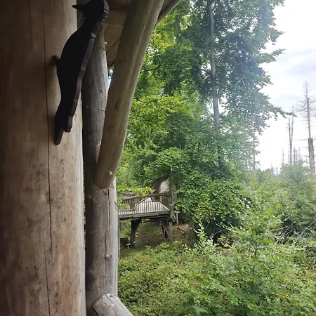 Waldoase Im Nationalpark Eifel Fuer 7 Gaeste Und Max 2 Hunde In 1a Lage Διαμέρισμα