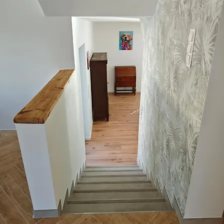 Waldoase Im Nationalpark Eifel Fuer 7 Gaeste Und Max 2 Hunde In 1a Lage