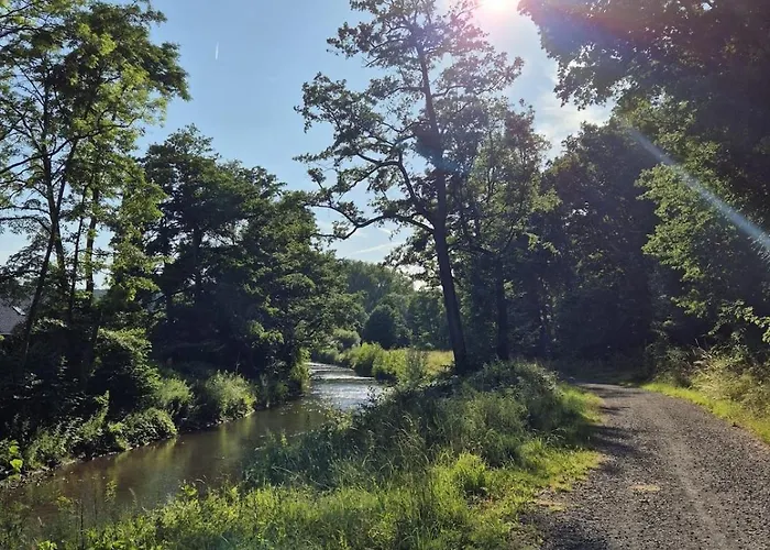 Waldoase Im Nationalpark Eifel Fuer 7 Gaeste Und Max 2 Hunde In 1a Lage *