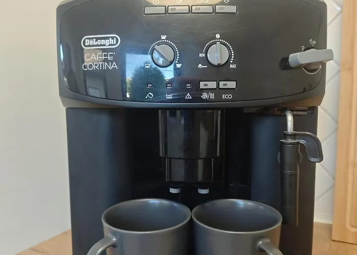 Waldoase Im Nationalpark Eifel Für 7 Gäste Und Max 2 Hunde In 1a Lage Apartamento