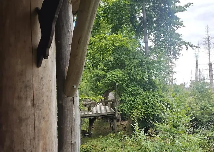 Waldoase Im Nationalpark Eifel Fuer 7 Gaeste Und Max 2 Hunde In 1a Lage Appartement