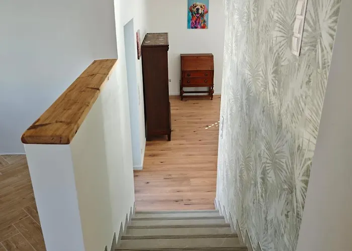 Waldoase Im Nationalpark Eifel Für 7 Gäste Und Max 2 Hunde In 1a Lage